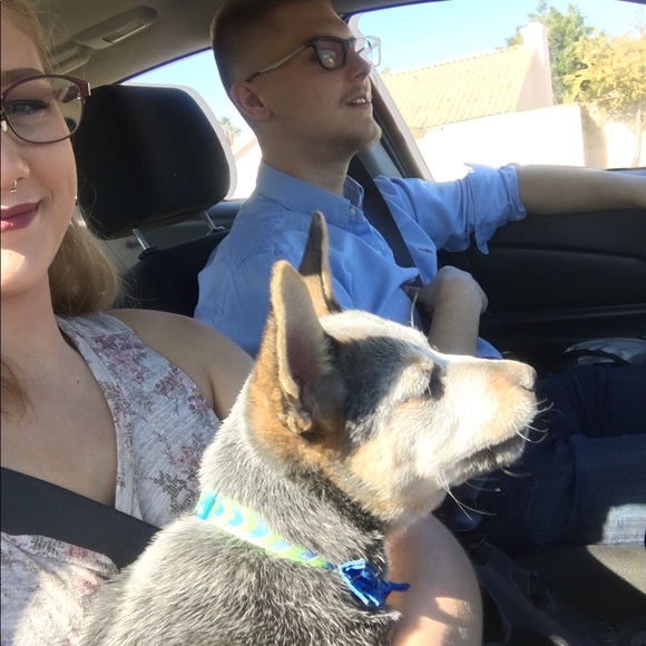 Not for sale - Picture 5 of 8